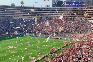 Crowd Celebrating in stadium