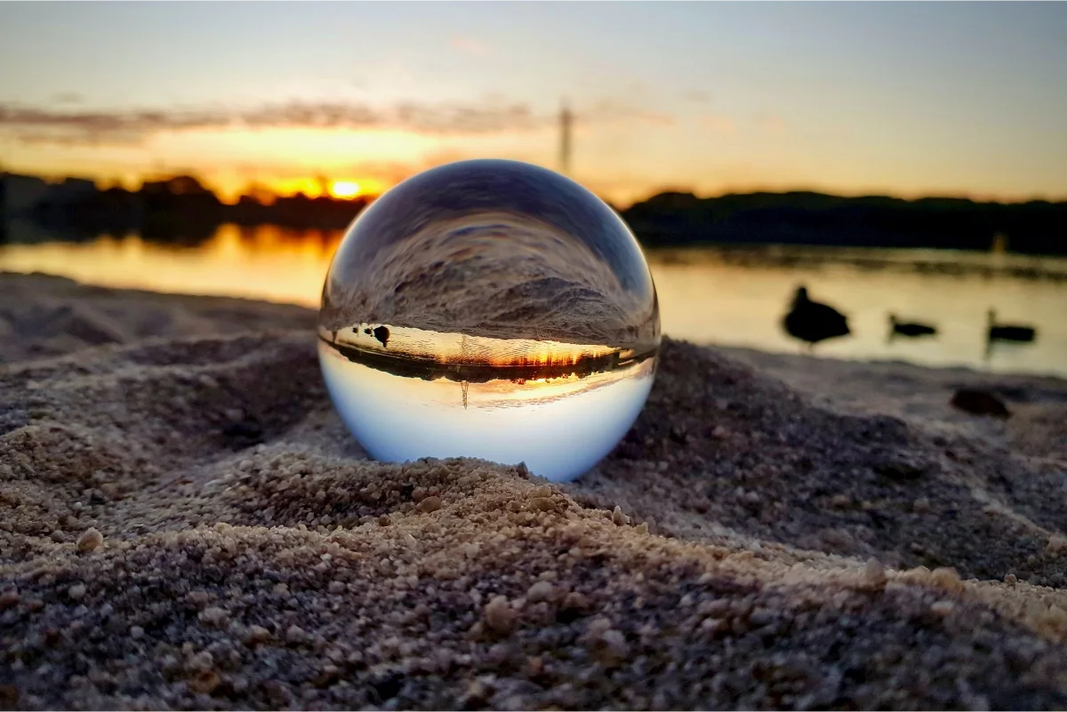 Mauris porta nunc in lectus malesuada scelerisque onec ultrices nunc nec feugiat suscipit