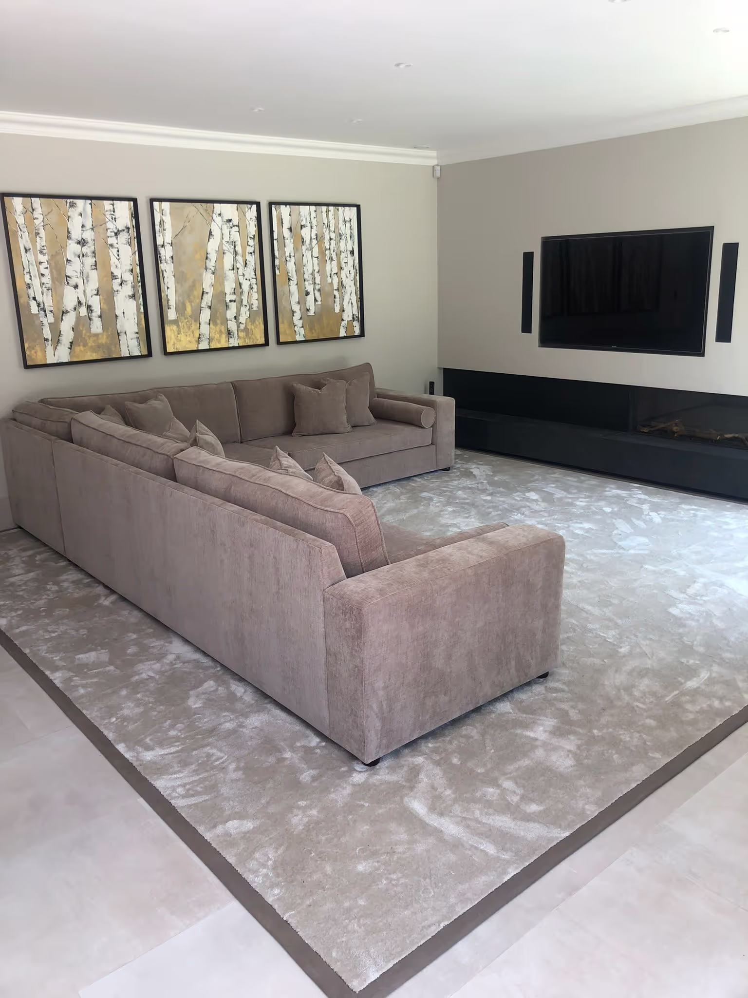 Luxury modern living room with custom furniture