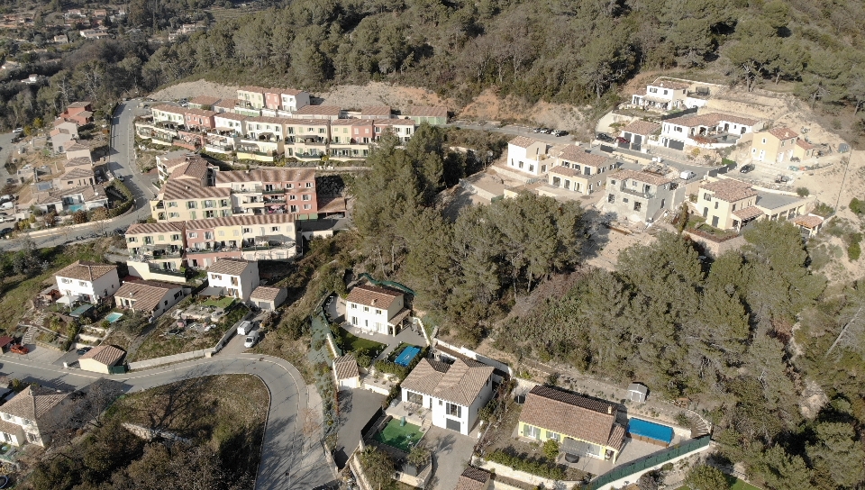 Groupe de bénévoles nettoyant un parc, événement communautaire