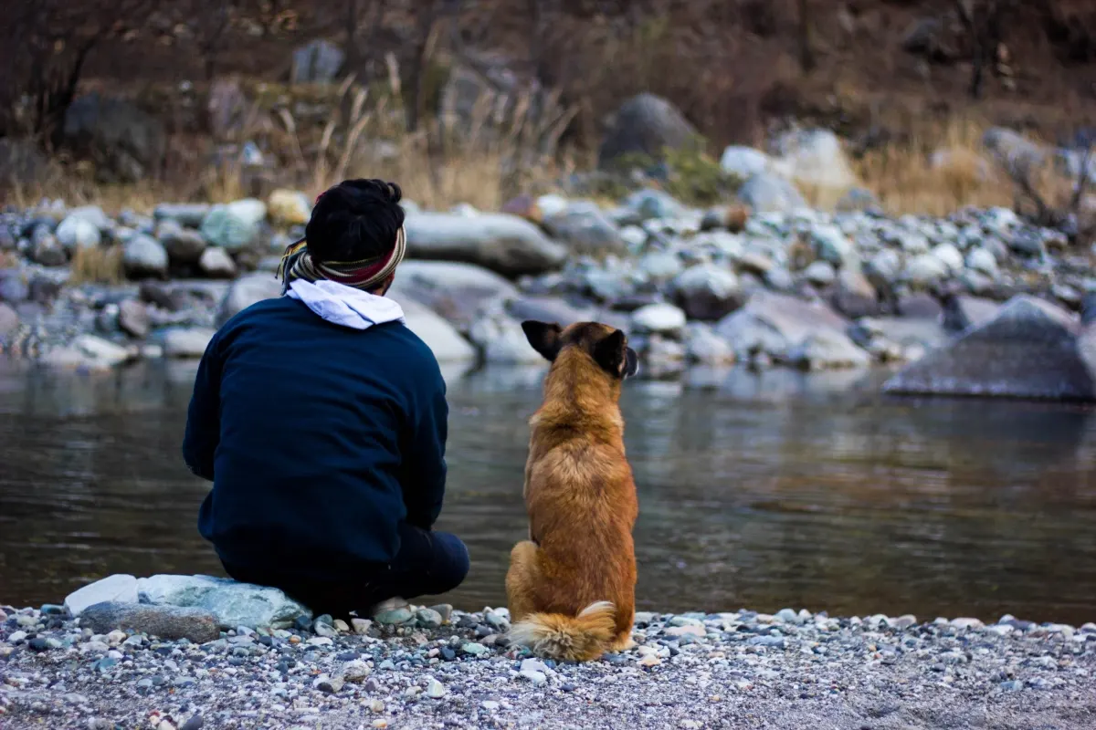 Pellentesque dignissim vehicula neque elementum nisi sagittis sed