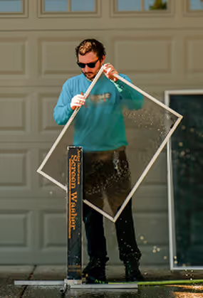 Window screen cleaning