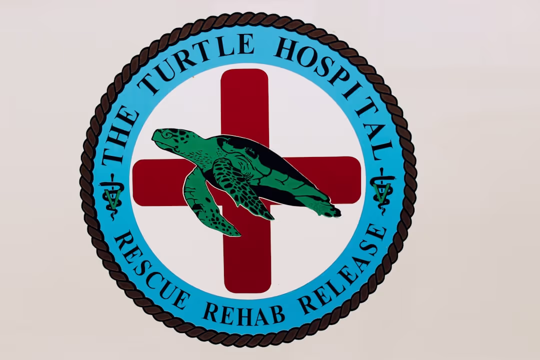 Healthcare Provider Logo