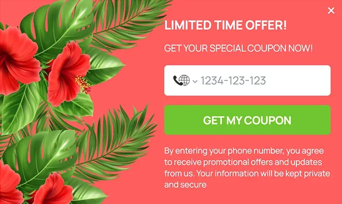 Limited-Time Offer Popups