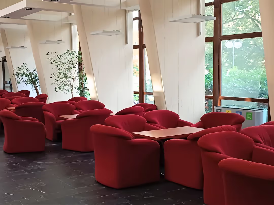 A serene waiting lounge with natural light, comfortable armchairs, and green plants.