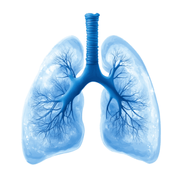 Awareness of your breath