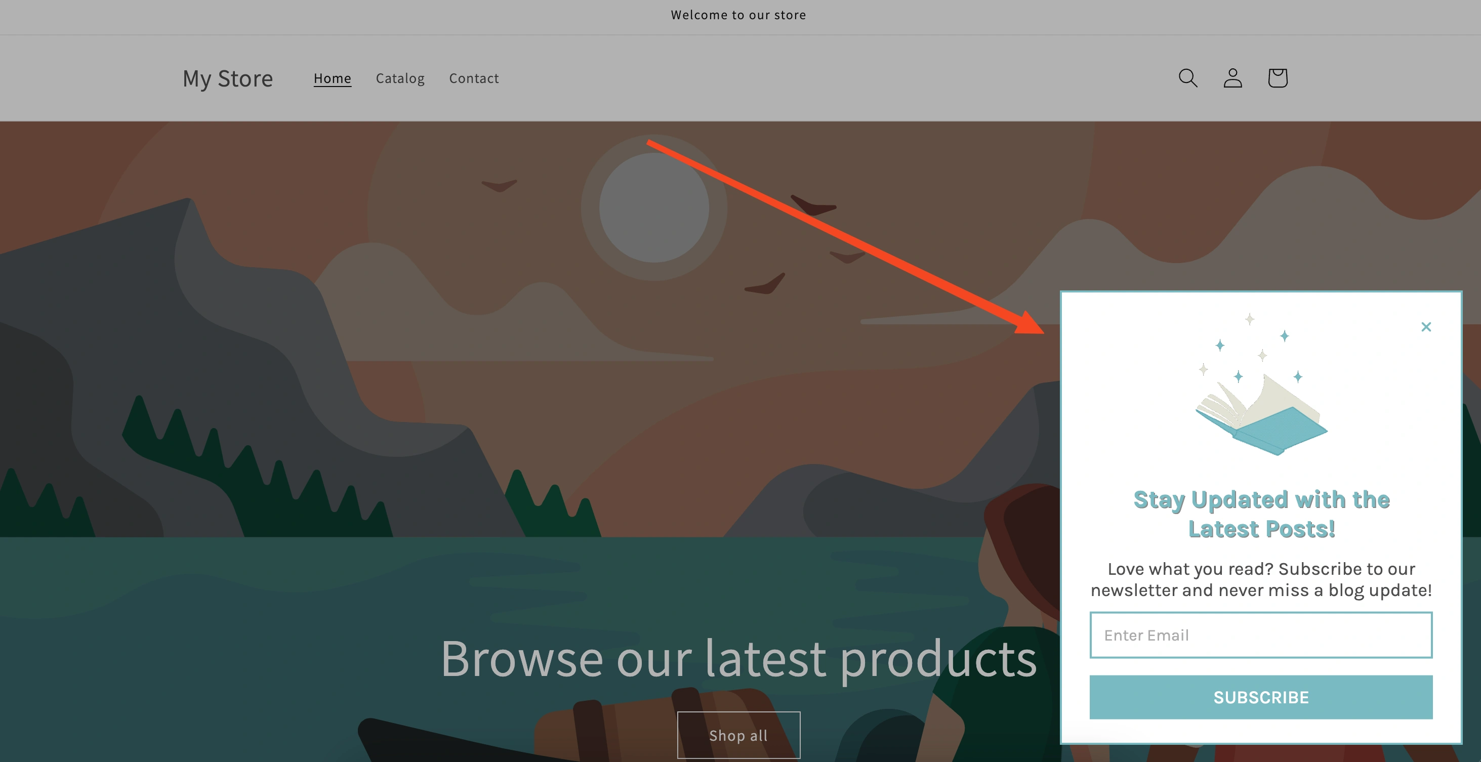 How To Add Newsletter Popup in Shopify: Preview the popup in shopify store