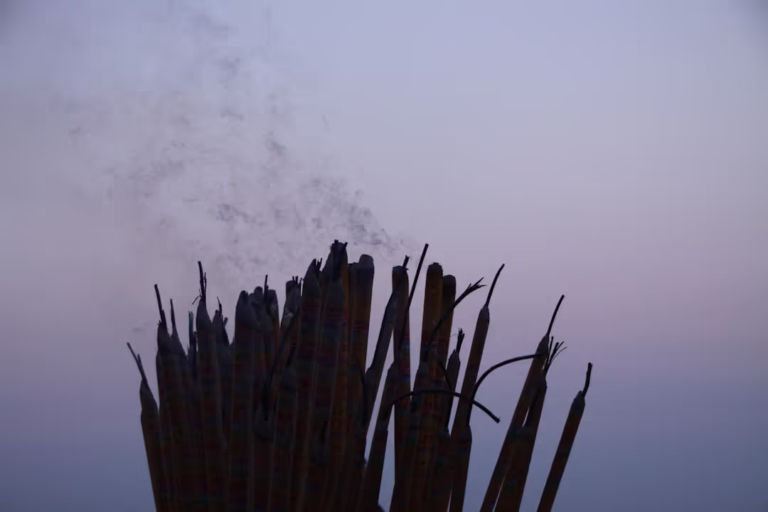 Calming Incense Sticks