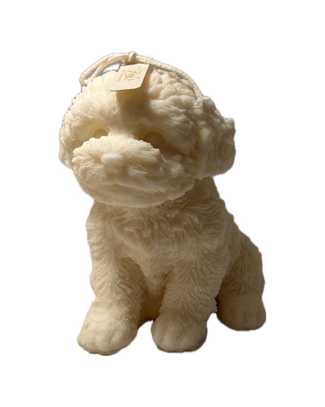 Organic Citrus Burst Candle