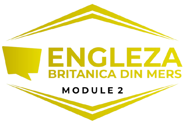 un baiat care studiaza limba engleza in carti