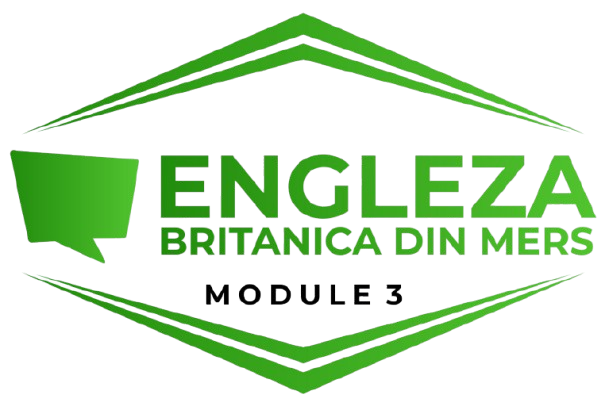 un baiat care studiaza limba engleza in carti