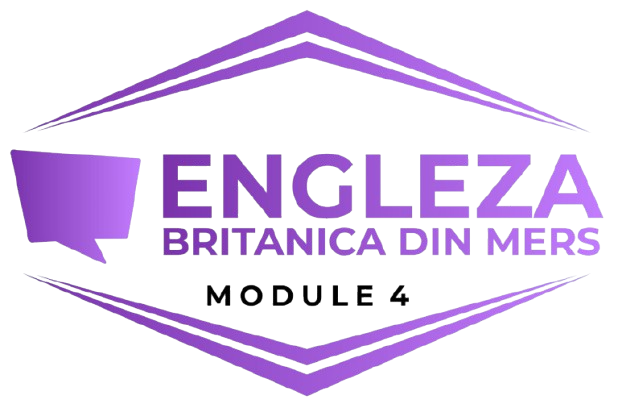 un baiat care studiaza limba engleza in carti