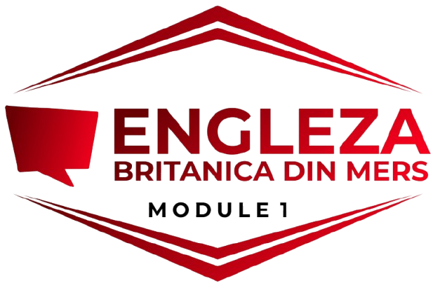 un baiat care studiaza limba engleza in carti