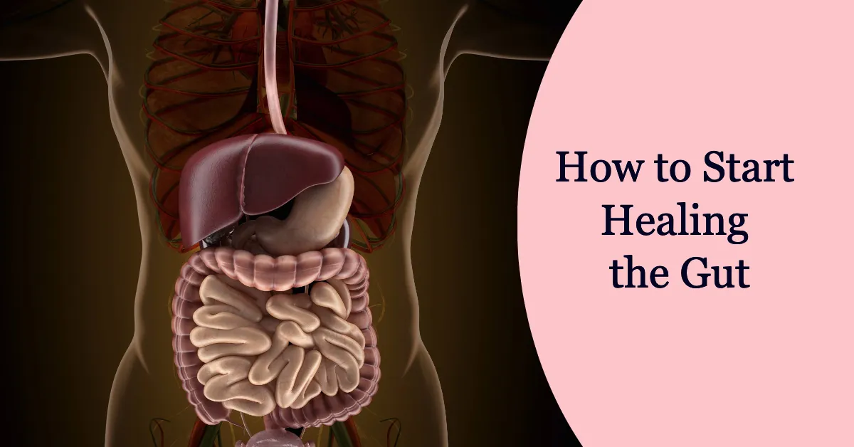 How to start healing the gut