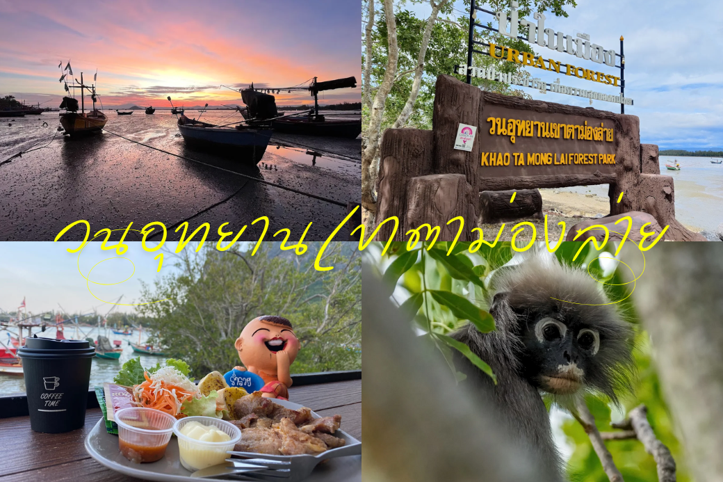 บรรยากาศลานกางเต็นท์ริมทะเลที่ วนอุทยานเขาตาม่องล่าย สำหรับกิจกรรม One Day Trip หรือค้างคืน