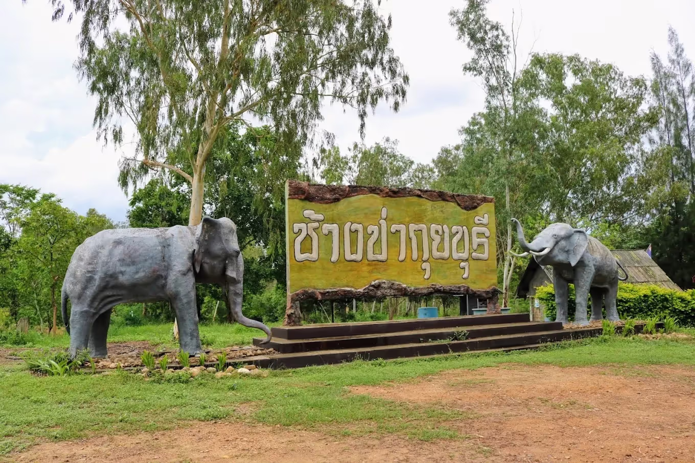 กิจกรรมนั่งรถกระบะส่องสัตว์และนกแก๊กในเส้นทางป่า อุทยานแห่งชาติกุยบุรี บรรยากาศ One Day Trip