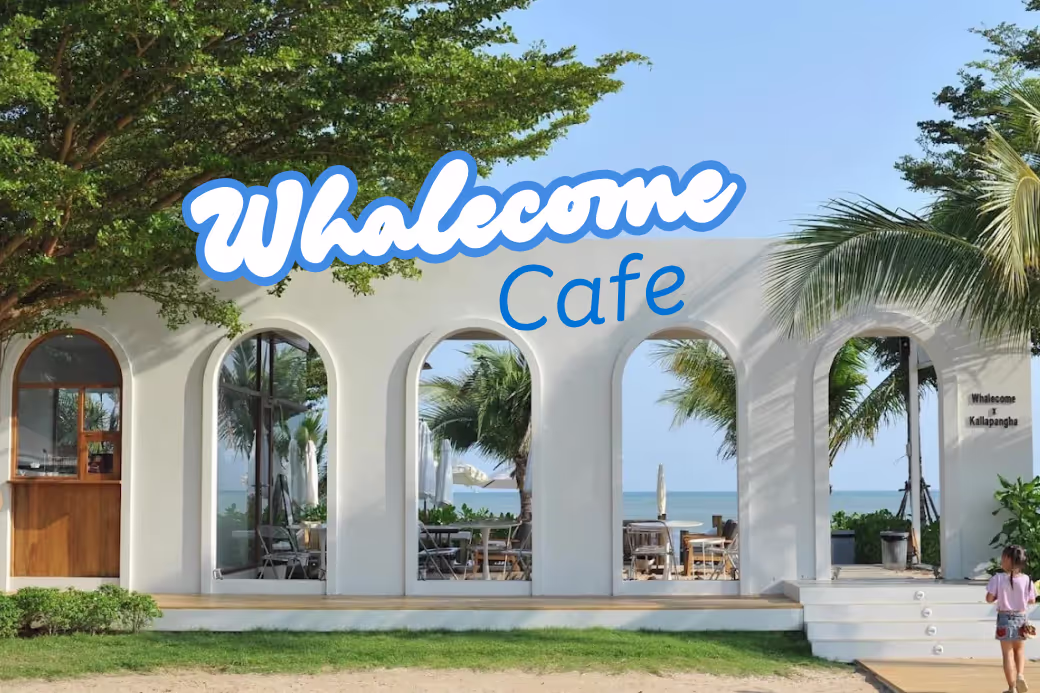 บรรยากาศภายใน Whalecome Cafe โทนสีฟ้า-ขาว สไตล์มินิมอล มีกิมมิกรูปวาฬน่ารักๆ และโซฟาติดกระจกบานใหญ่