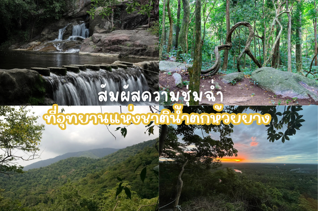 เส้นทางศึกษาธรรมชาติในอุทยานแห่งชาติน้ำตกห้วยยาง ที่ร่มรื่นด้วยป่าเบญจพรรณและพันธุ์ไม้ใหญ่ เช่น ต้นเสลา