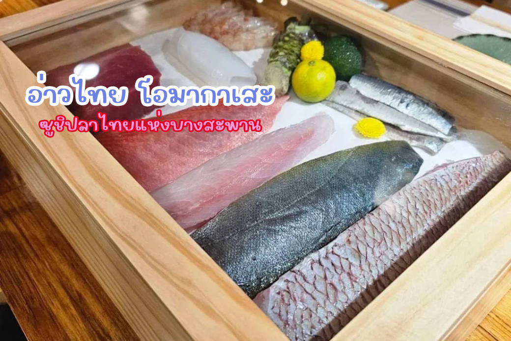 ซูชิปลาไทยในคอร์สโอมากาเสะ ที่ อ่าวไทย โอมากาเสะ บางสะพาน เน้นวัตถุดิบปลาสดจากอ่าวไทย