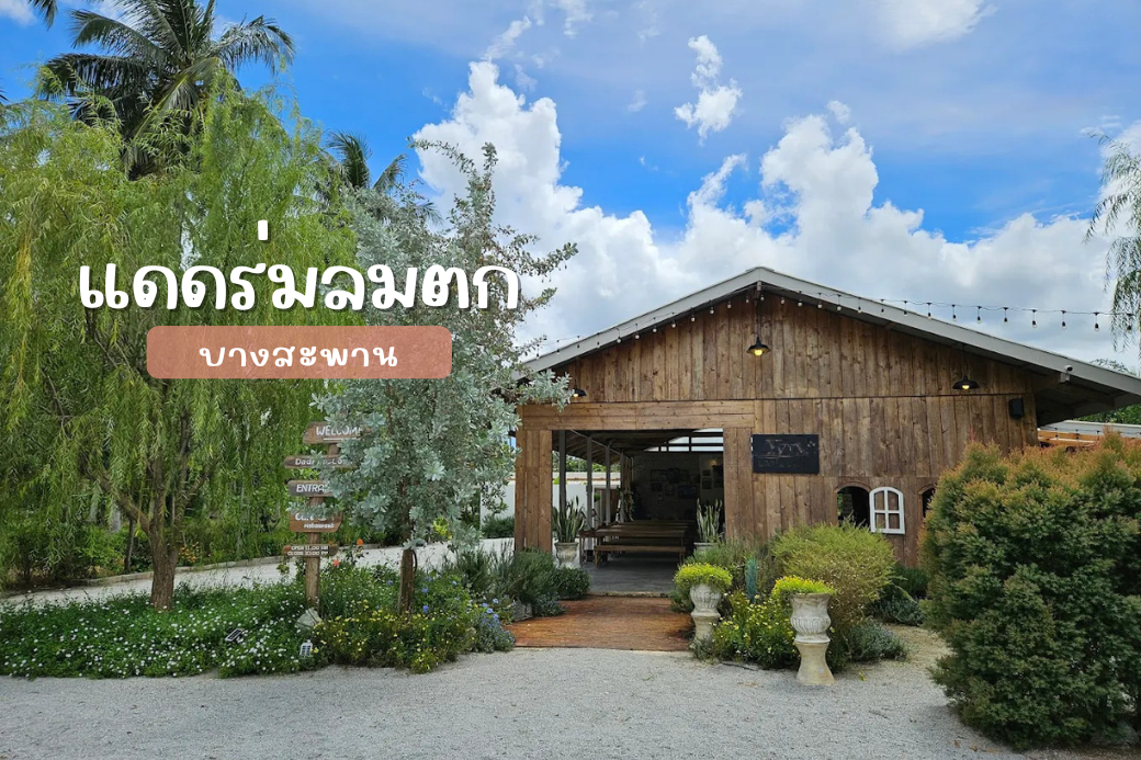 บรรยากาศร้านแดดร่ม ลมตก คาเฟ่ริมอ่างเก็บน้ำบ้านมรสวบ บางสะพาน พร้อมวิวภูเขาสลับซับซ้อน