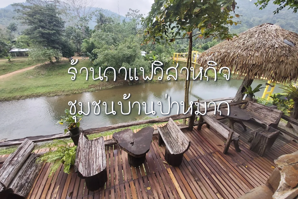 โอโซนเต็มปอด🌳 จิบ กาแฟโรบัสต้าป่าช้างขาว ที่วิสาหกิจชุมชนบ้านป่าหมาก สดชื่น ฟีลธรรมชาติ 100%