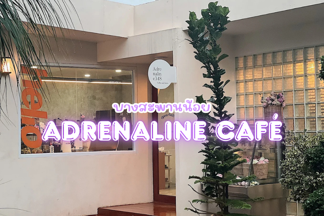 บรรยากาศภายใน Adrenaline Café ที่ตกแต่งอบอุ่นและมีมุมถ่ายรูปสวย ๆ