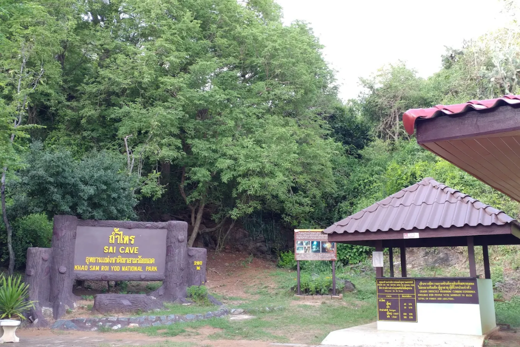 🔦 ถ้ำไทร ปีนป่ายท้าทาย...ชมวิว 360 องศาแห่งเขาสามร้อยยอด