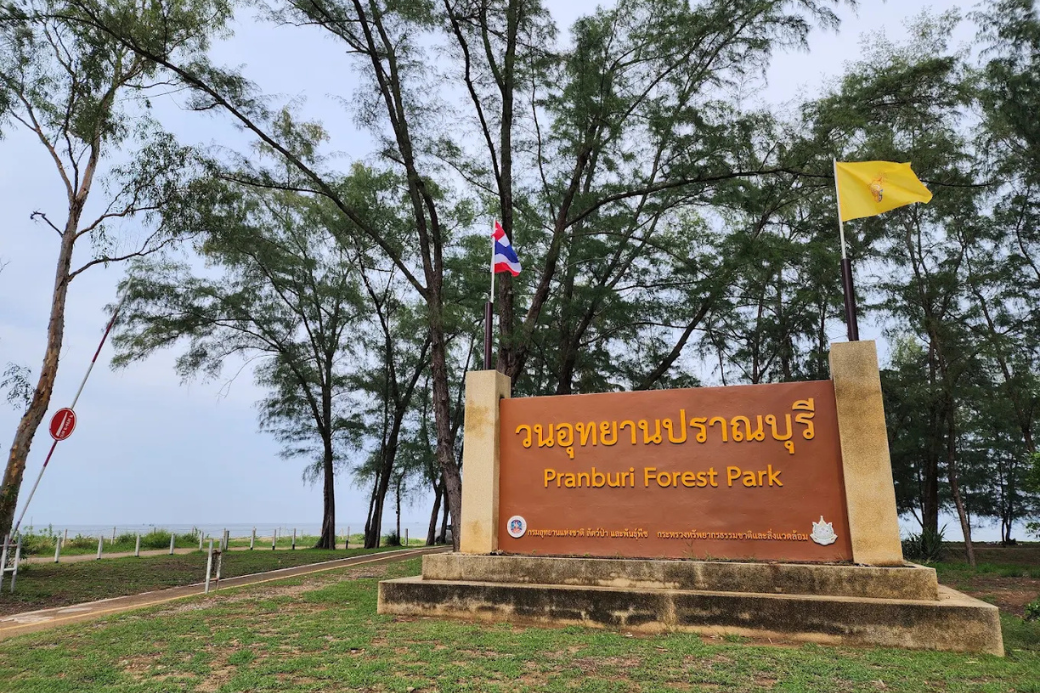 ทิวต้นสนริมชายหาดภายในพื้นที่วนอุทยานปราณบุรี บรรยากาศเงียบสงบ