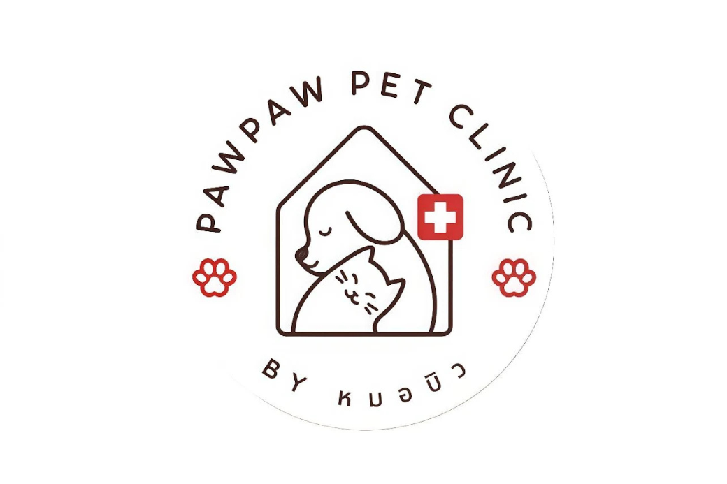 บรรยากาศด้านหน้าและภายใน พอว์พอว์เพ็ทคลินิก คลินิกรักษาสัตว์ในจังหวัดประจวบคีรีขันธ์