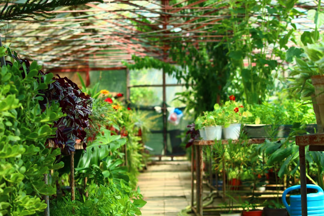 The vibrant and well-maintained garden of Doon Niwas Homestay, filled with colorful flowering plants.