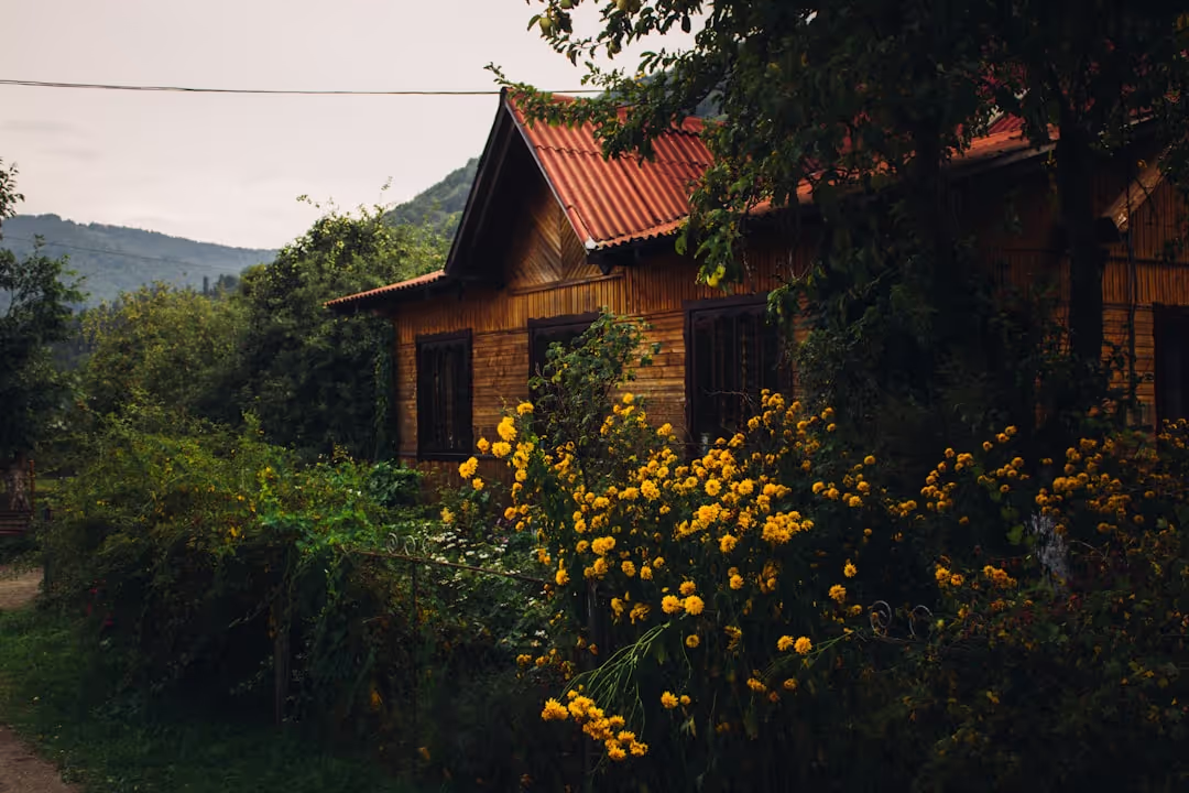 A welcoming view of Doon Niwas Homestay's exterior, surrounded by lush greenery and distant mountains.