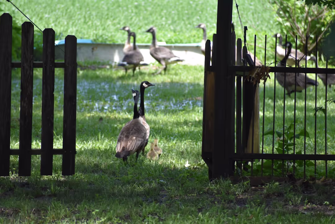 Family welcoming guests with warm hospitality