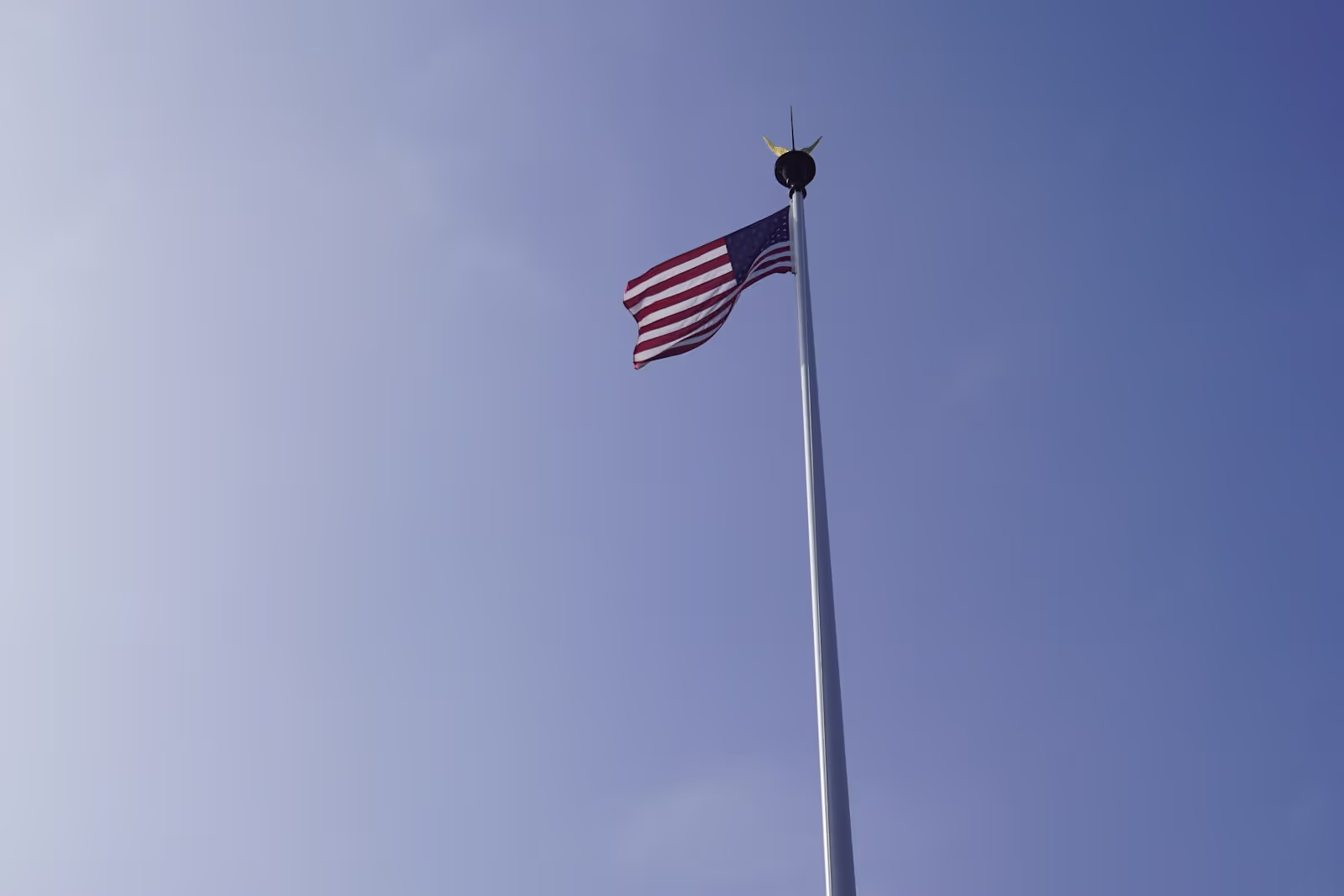 A majestic bald eagle in flight against a backdrop of the American flag, symbolizing freedom.