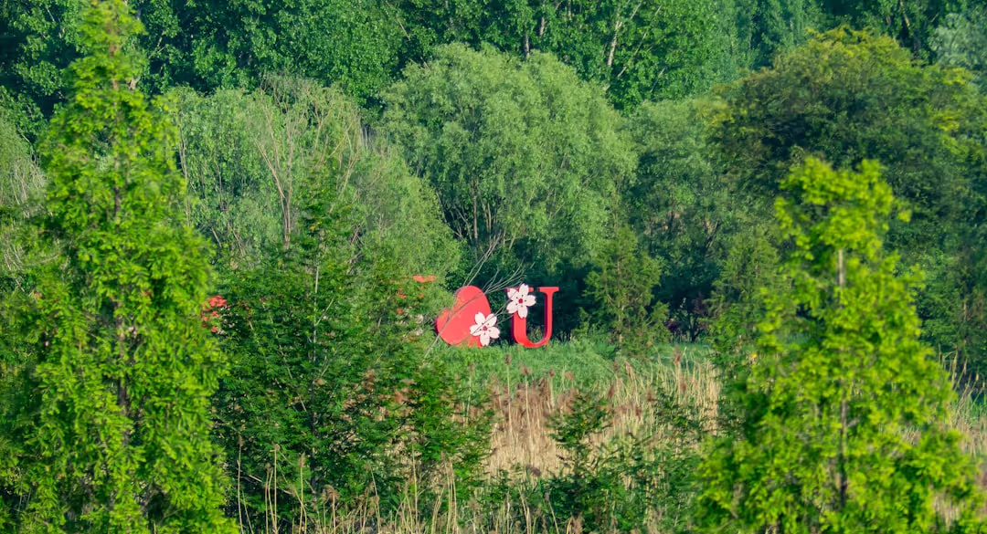 Couple having a picnic by their red T4 van in the Black Forest