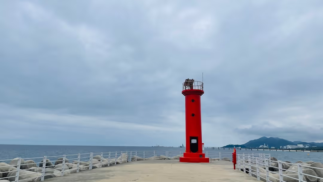 Koncaroo Adventures red T4 van parked by a European beach