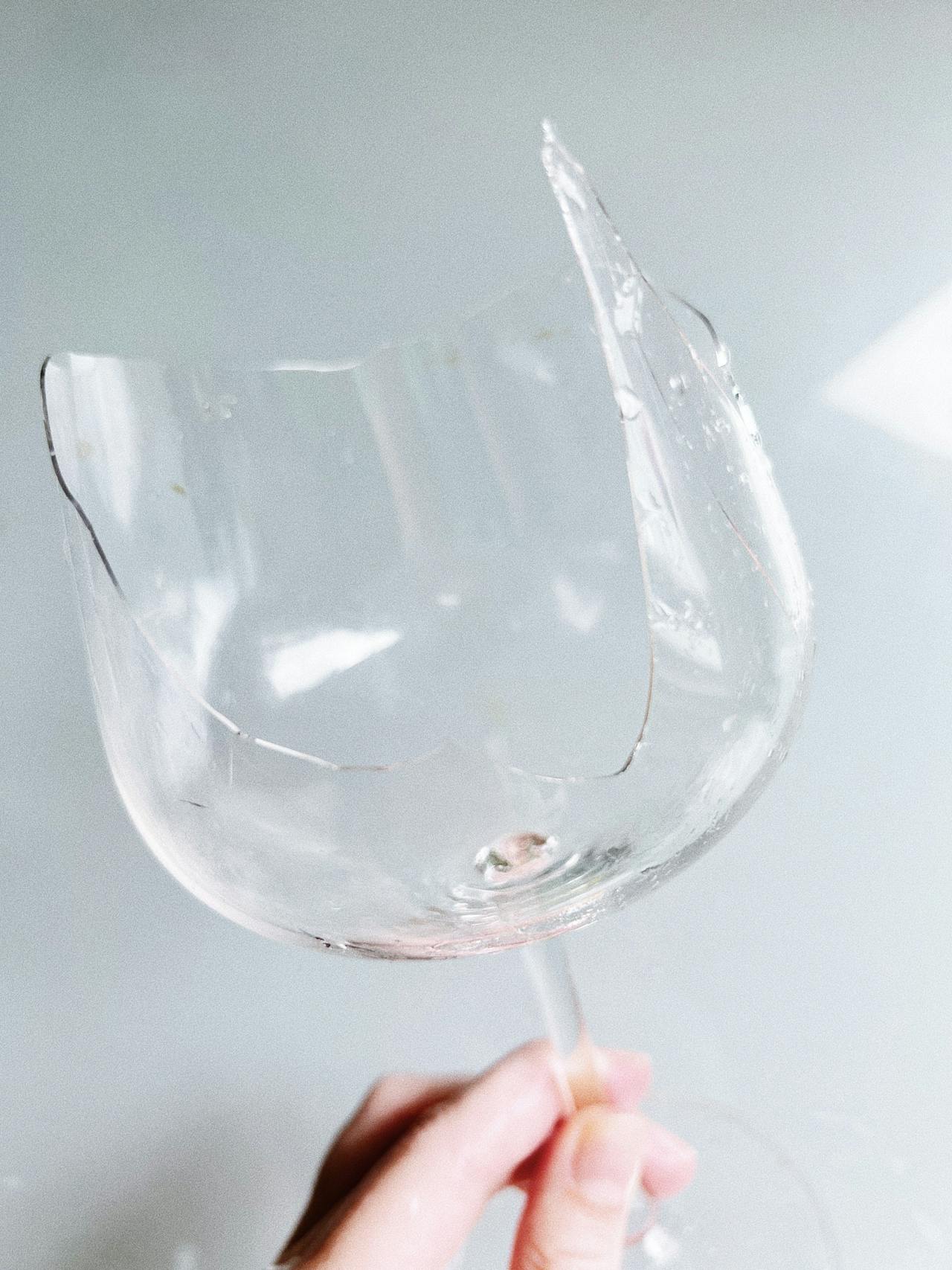 damaging property during a house sit