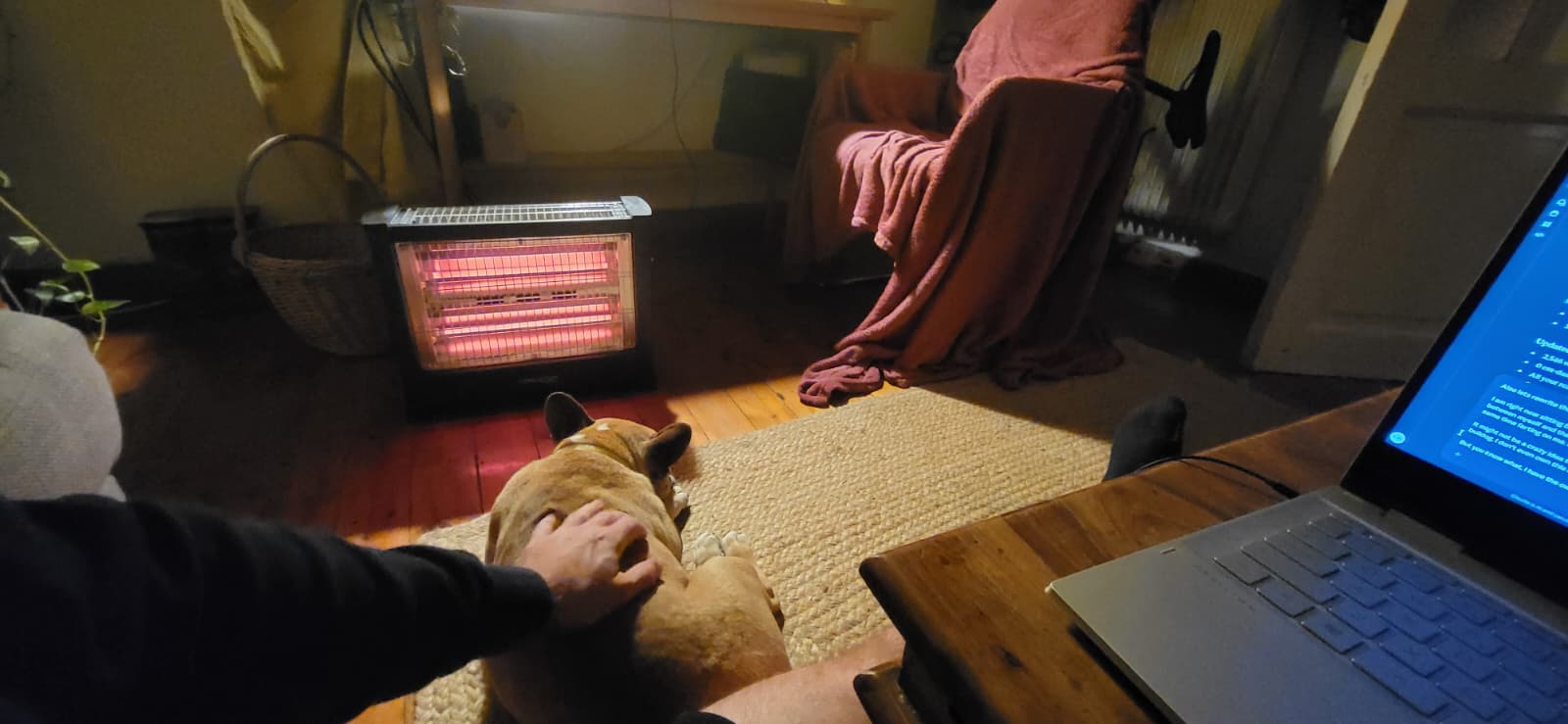 Do house sitters have to stay overnight