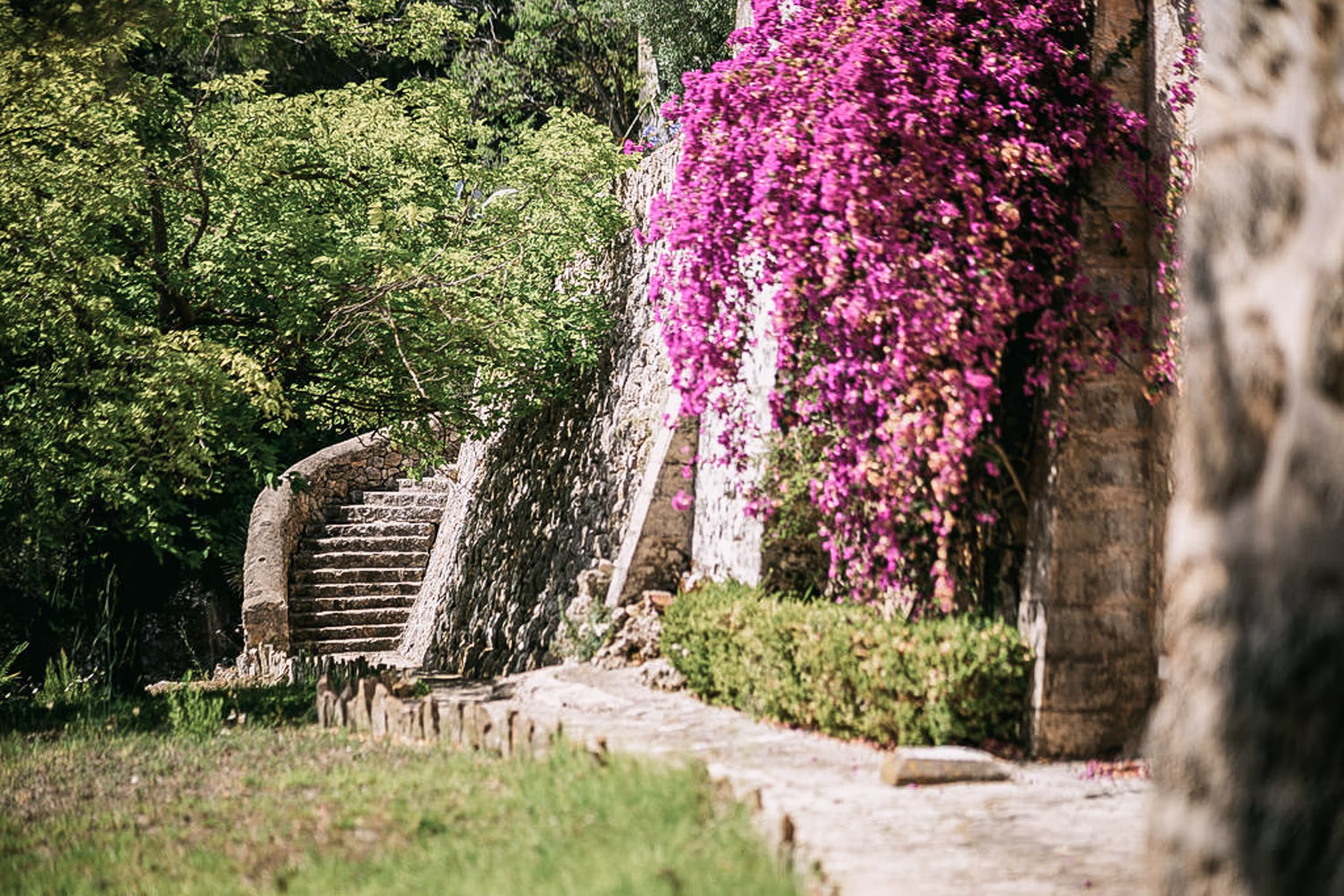 A serene yoga retreat taking place in a beautiful, inspiring setting at Posada del Marqués.