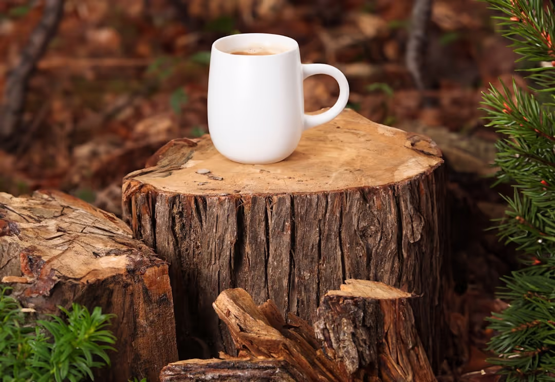 A person brewing coffee outdoors in a serene forest setting, embodying rustic luxury.
