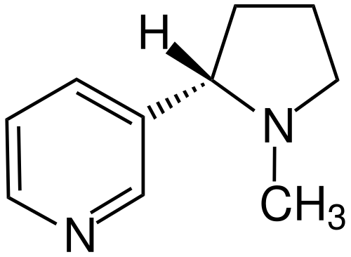Chemical diagram of nicotine molecule. “Nicotine molecular structure showing non-addictive biochemical profile.”