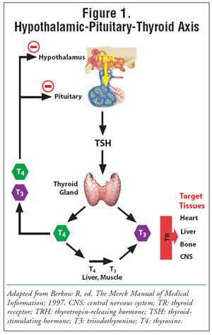 Thyroid Secrets You Wish You Knew One Year Ago
