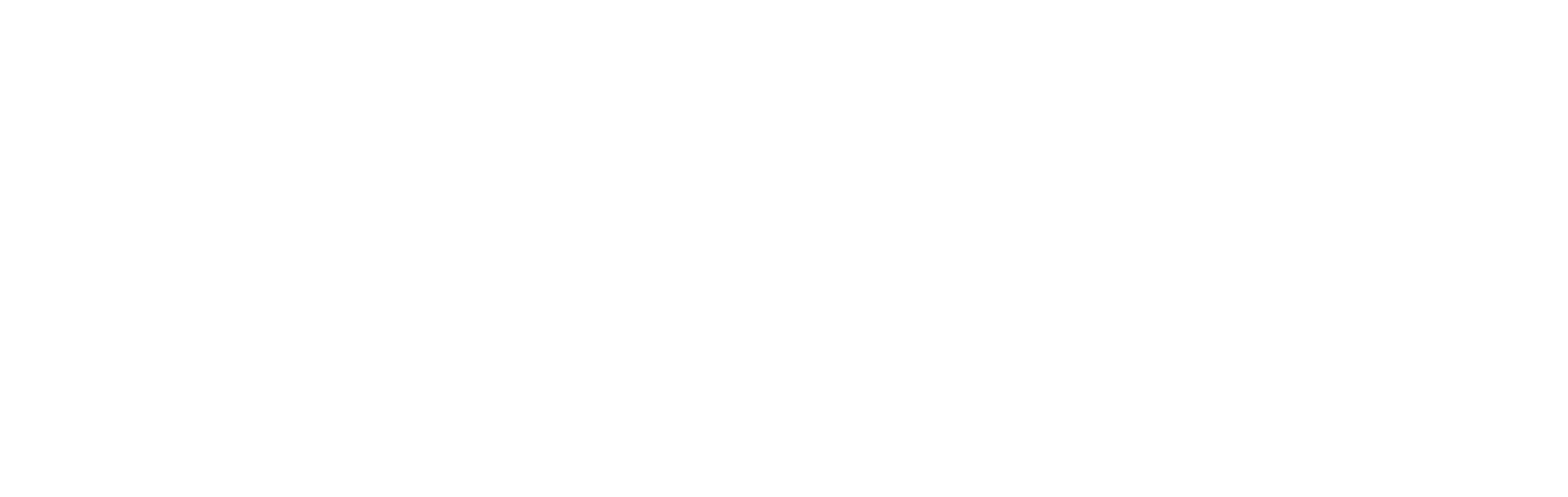 Emerging Investigations - White Logo