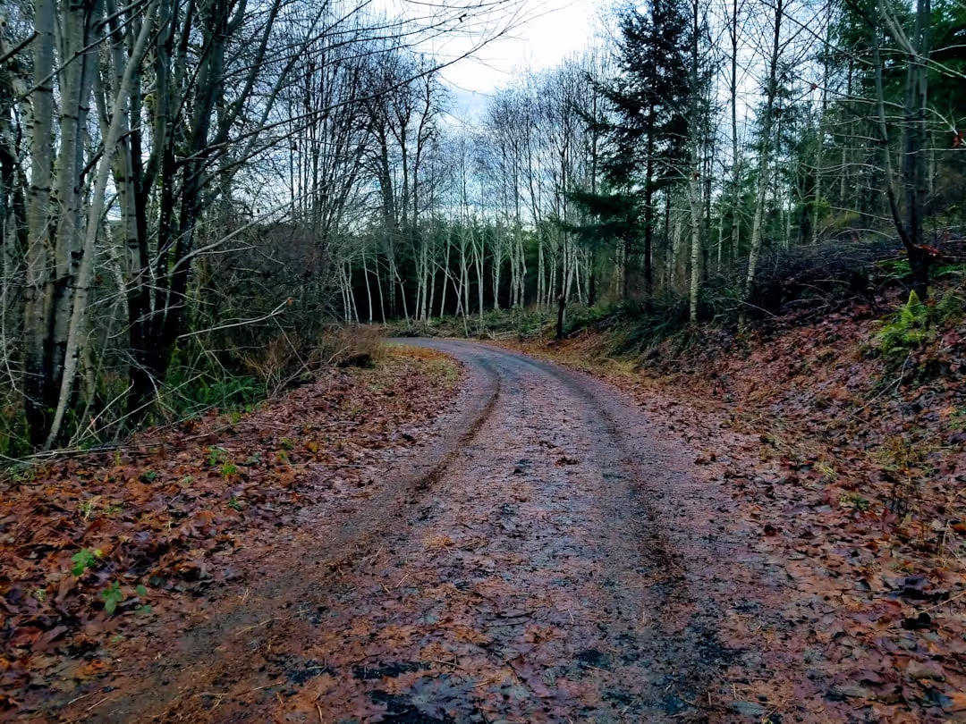 Before and after image of a resin driveway transformation in Nottingham