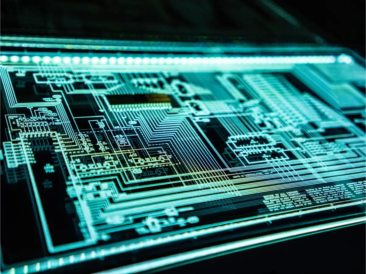 Nibh dapibus egestas purus non tempor ligula cursus volutpat