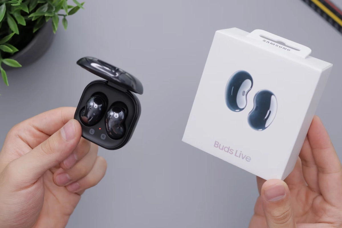 Vulputate tortor uisque gravida turpis ut sapien placerat