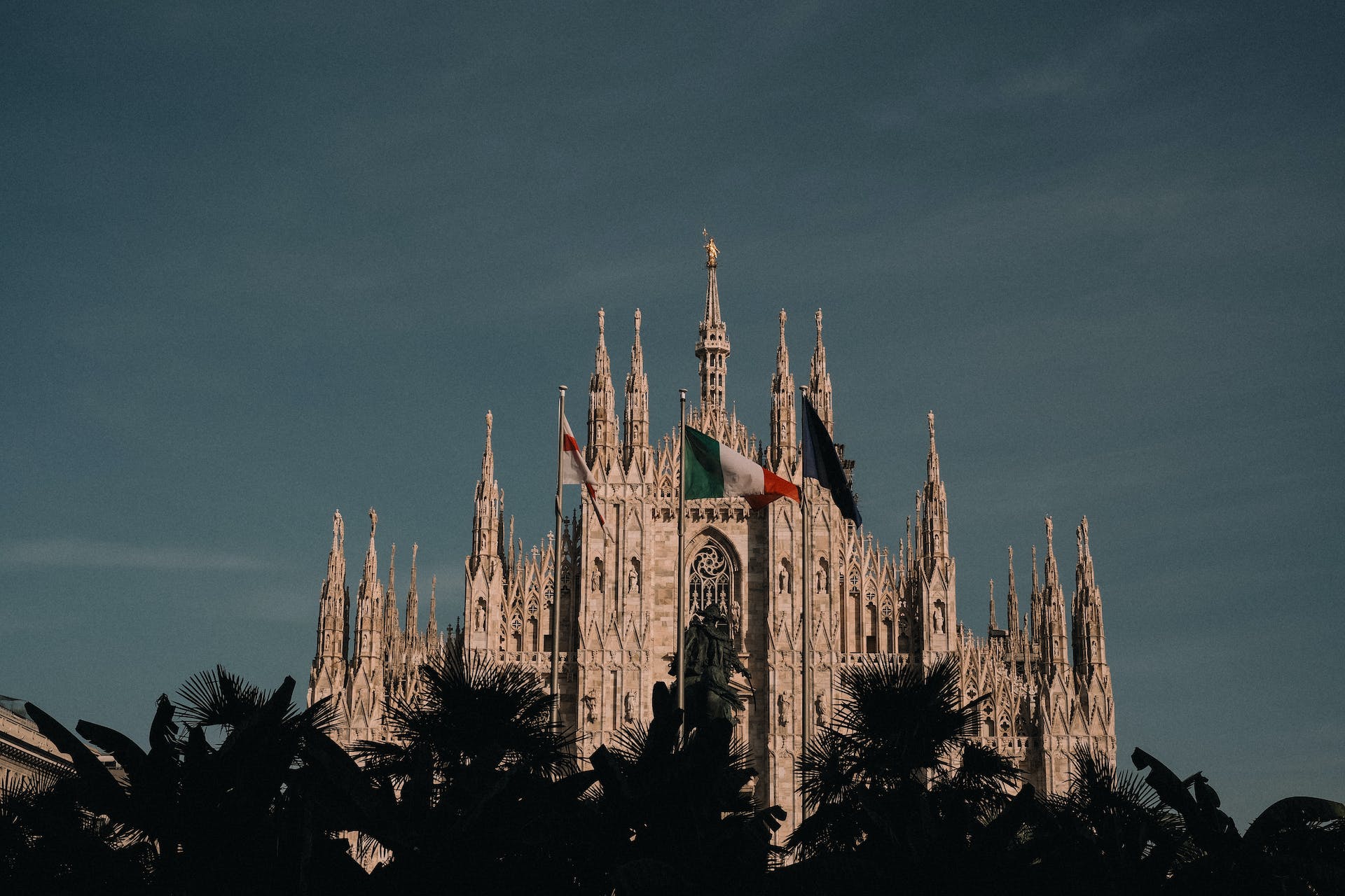 Morbi sit amet risus interdum tellus commodo