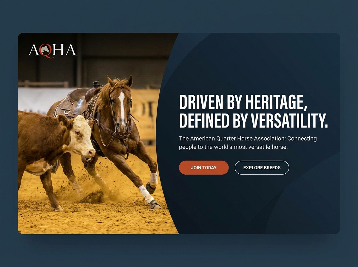 Build Your Premier AQHA Website Today website preview